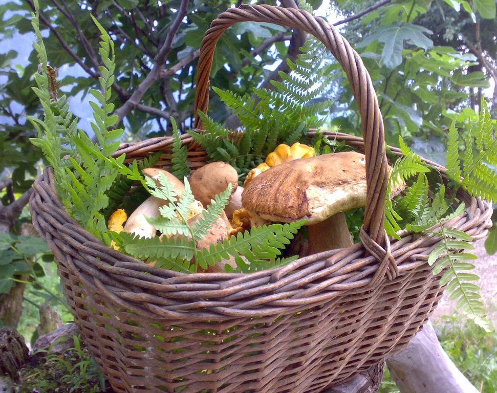 Residence Garni Il Giglio 코메차두라 외부 사진